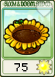 阳光花盆