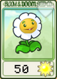 金盏花