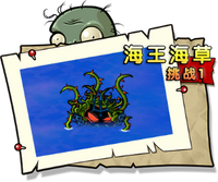 【海王海草挑战1】困难