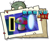 【魅惑毁灭菇挑战5】正常