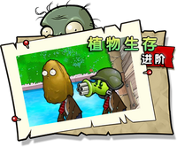 【植物生存 进阶】困难
